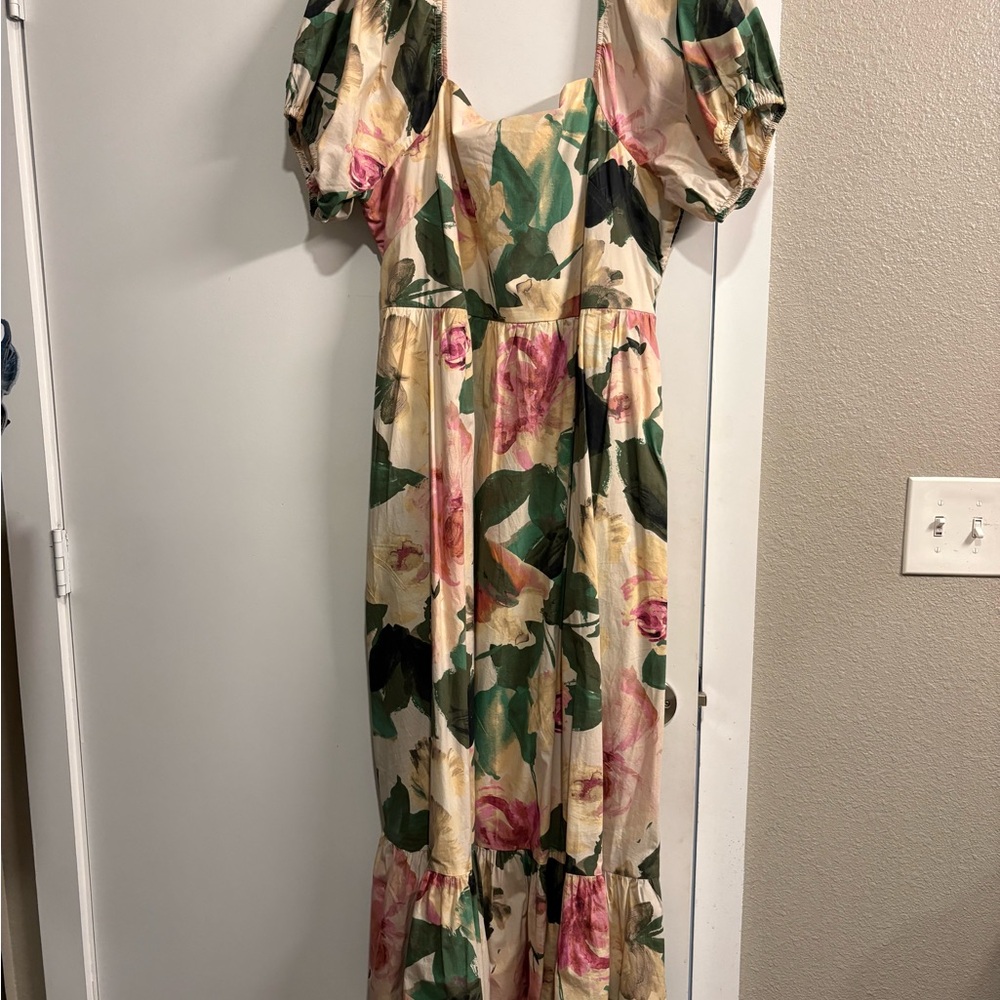 Express Pink and Green Puff Sleeve Maxi Dress